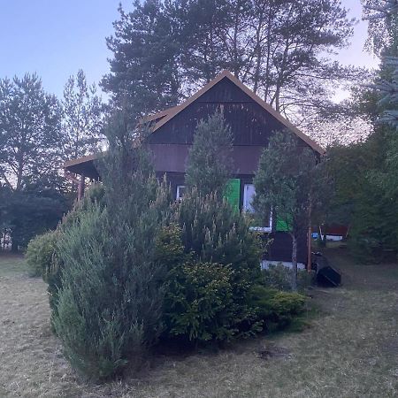 Dom Pod Sosnami Villa Rzewnie Eksteriør bilde