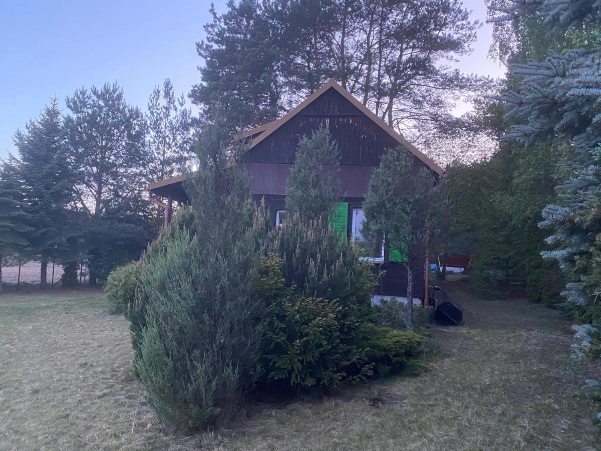 Dom Pod Sosnami Villa Rzewnie Eksteriør bilde